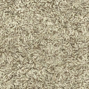 la_carp2 texture from cssmokehall.txd (128x128 DXT1)