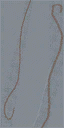 lae2roads12_lod texture from laeast2_lod.txd (64x128 DXT1)