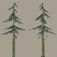 lod_largefurs07 texture from lod_veg.txd (64x64 ARGB32)