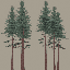 lod_redwoodgrp texture from lod_veg.txd (64x64 ARGB32)