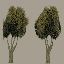 lod_vegvbbigbrn texture from lod_veg.txd (64x64 ARGB32)