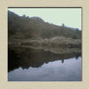 mp_apt1_pic2 texture from dr_gsbits.txd (128x128 DXT1)
