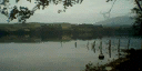 mp_apt1_pic5 texture from mp3.txd (128x64 DXT1)