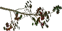 mp_flowerbush texture from dr_gsnew.txd (256x128 DXT3)