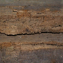 mp_millie_wood texture from gf6.txd (256x256 DXT1)