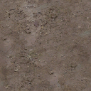 mudyforest256 texture from glenpark1_lae.txd (256x256 DXT1)