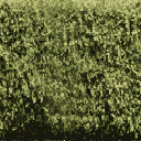 newhedgea texture from vegasroads.txd (128x128 DXT1)