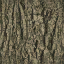oakbark64 texture from svcunthoose.txd (64x64 DXT1)