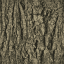 oakbark64 texture from vegtresshi9b.txd (64x64 XRGB32)