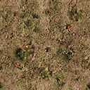oldflowerbed texture from newstuff_sfn.txd (256x256 DXT1)