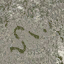 p69_again texture from lod3_sfe.txd (64x64 DXT1)