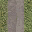 pavebsand256grassblended_LOD texture from cs_lod.txd (32x32 DXT1)