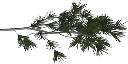 pinebrnch1 texture from tree3prc.txd (128x64 DXT3)