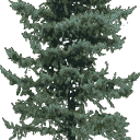 pinelo128 texture from xmastree1.txd (128x128 DXT3)