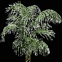 planta256 texture from gta_potplants.txd (128x128 ARGB32)