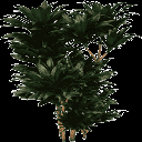 plantc256 texture from kbplantssmz.txd (128x128 ARGB32)