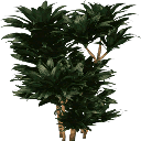 plantc256 texture from vgsebushes.txd (256x256 DXT3)
