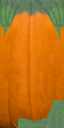 pumpkin01 texture from pumpkin01.txd (128x256 DXT1)