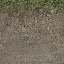 roadblendcunt texture from lodcunty.txd (64x64 DXT1)