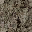 rocktbrn128LOD texture from lod_countryn.txd (32x32 DXT1)