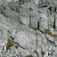 rocktq128 texture from cs_lod.txd (64x64 DXT1)