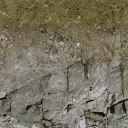 rocktq128_forestblend texture from cuntwlandwest.txd (128x128 DXT1)