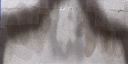sf_chinashopground texture from smallertxd.txd (256x128 DXT1)