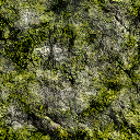 sfe_rock2 texture from p69_rocks.txd (256x256 DXT1)