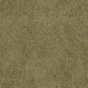 sfn_grass1 texture from boxybld2_sfw.txd (256x256 DXT1)
