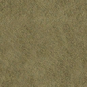 sfn_grass1 texture from lodtnsfn.txd (128x128 DXT1)