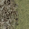sfn_rocktbrn128 texture from lodtnsfn.txd (32x32 DXT1)