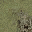 sfncn_rockgrass3 texture from lodtnsfn.txd (32x32 DXT1)