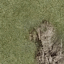 sfncn_rockgrass3 texture from sfn_sfn.txd (512x512 DXT1)