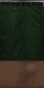 shortsgang texture from shortsgang.txd (128x256 XRGB32)
