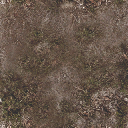 sjmgrund2b texture from cunte_cop.txd (256x256 DXT1)