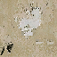 skip_peeling1 texture from kb_skip_txd.txd (64x64 DXT1)