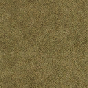sl_sfngrass01 texture from glenpark7_lae.txd (128x128 DXT1)