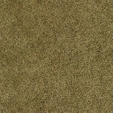sl_sfngrass01 texture from lan2freeway.txd (256x256 DXT1)