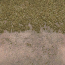 sl_sfngrssdrt01 texture from glenpark7_lae.txd (128x128 DXT1)