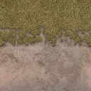 sl_sfngrssdrt01 texture from lanroad.txd (256x256 DXT1)
