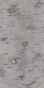 sm_bark_light texture from des_trees.txd (128x256 DXT1)