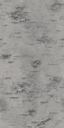 sm_bark_light texture from gta_tree_bevhills.txd (64x128 XRGB32)