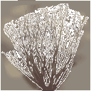 sm_des_bush1 texture from gtarock_deserts.txd (128x128 ARGB32)
