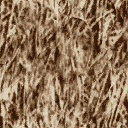 sm_josh_bark texture from gta_procdesert.txd (128x128 DXT1)