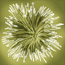 sm_josh_leaf texture from gta_deserttrees.txd (128x128 ARGB32)