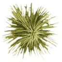 sm_josh_leaf texture from gta_procdesert.txd (128x128 DXT3)