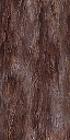 sm_redwood_bark texture from mtbtrackcs_t.txd (128x256 DXT1)