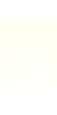 smoketest1a_sfw texture from genintintcarint3.txd (64x128 DXT3)