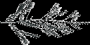 sprucbr texture from tree2.txd (128x64 ARGB32)