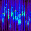 strip_neon_Curtain texture from lee_strip2.txd (128x128 DXT1)
